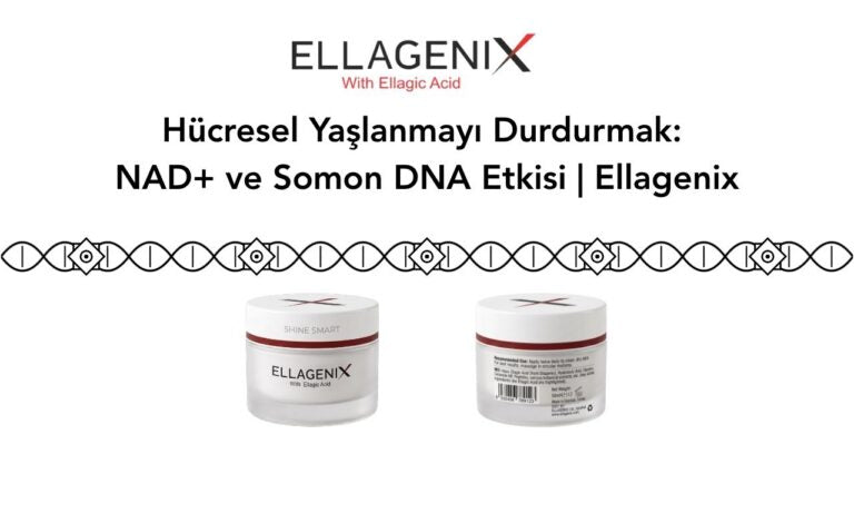 Hücresel Yaşlanmayı Durdurmak Mümkün mü? Cilt Bakımında NAD+ ve Somon DNA Etkisi